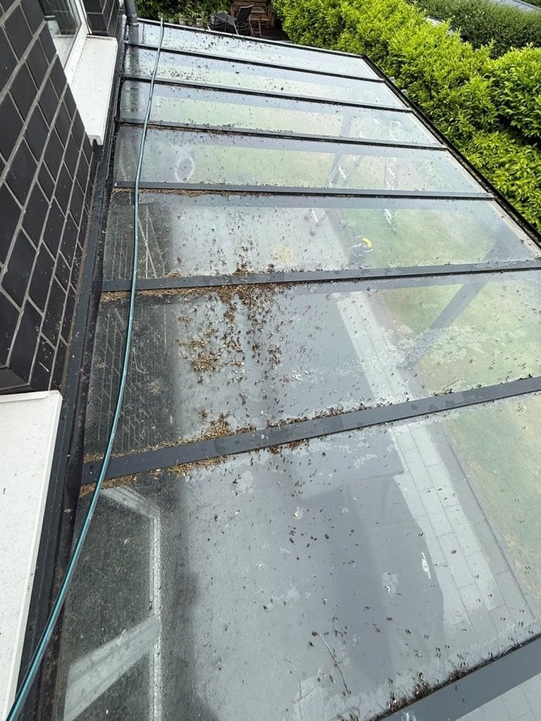 Glasdach mit Laub und Blütenresten – vorher